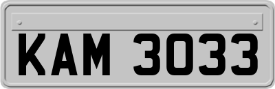 KAM3033