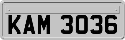 KAM3036