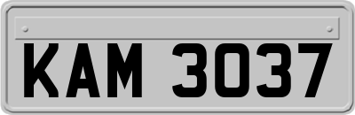KAM3037