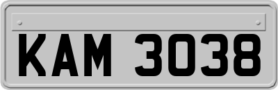 KAM3038