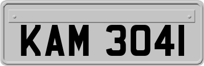 KAM3041