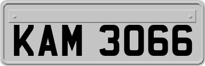 KAM3066