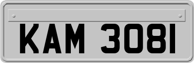 KAM3081