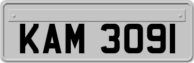 KAM3091