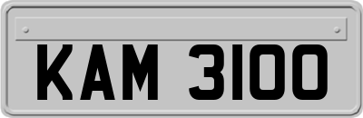 KAM3100