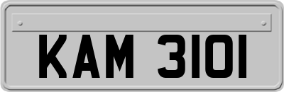KAM3101