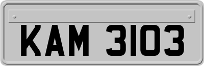 KAM3103