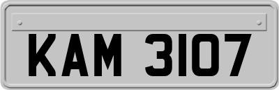 KAM3107