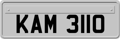KAM3110