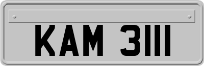 KAM3111