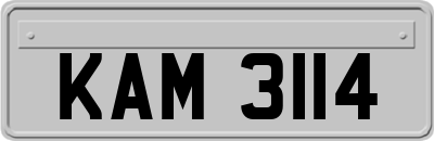 KAM3114