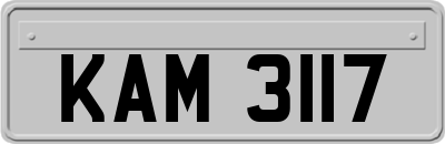 KAM3117
