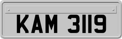 KAM3119