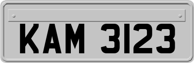 KAM3123
