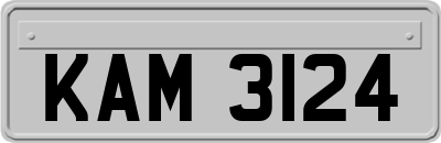 KAM3124