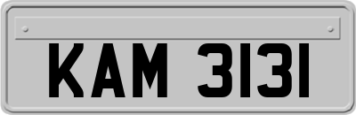 KAM3131