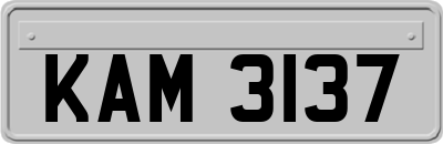KAM3137
