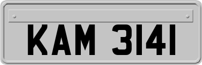 KAM3141