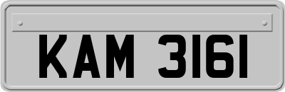 KAM3161