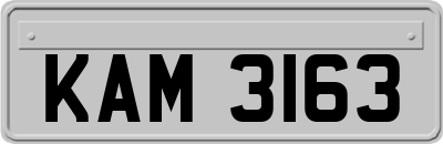 KAM3163