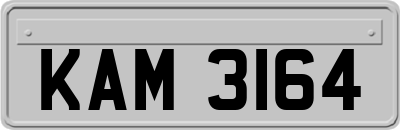 KAM3164