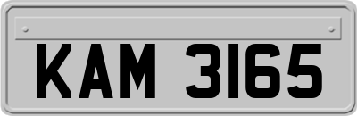 KAM3165