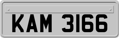 KAM3166