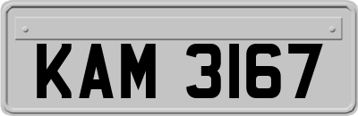 KAM3167