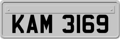KAM3169