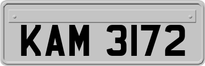 KAM3172