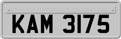 KAM3175