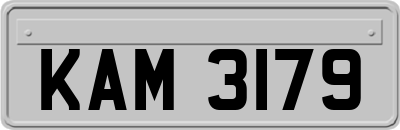 KAM3179