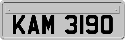 KAM3190