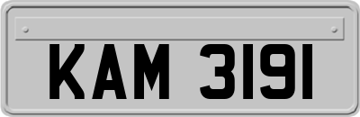 KAM3191