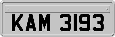 KAM3193