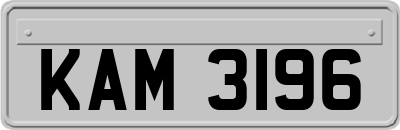 KAM3196