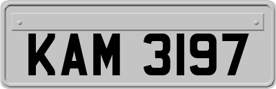 KAM3197