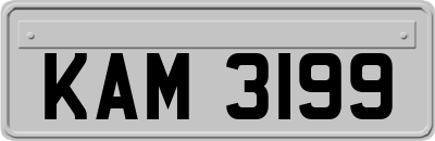 KAM3199