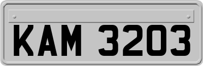 KAM3203