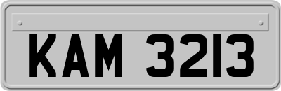 KAM3213