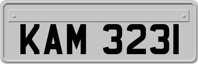 KAM3231
