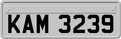 KAM3239