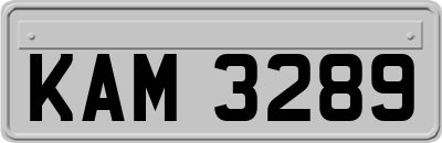 KAM3289