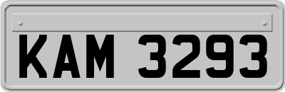 KAM3293