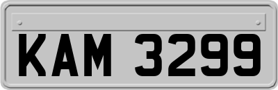 KAM3299