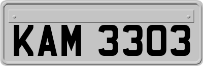 KAM3303