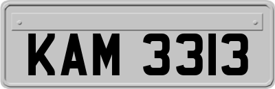 KAM3313