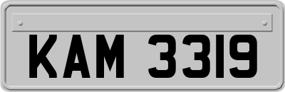 KAM3319