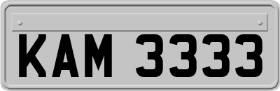 KAM3333