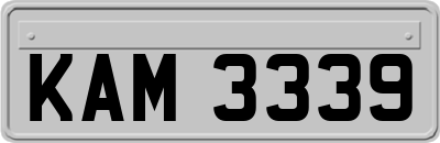KAM3339